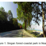 Figure 1: Singan forest-coastal park in Noashahr